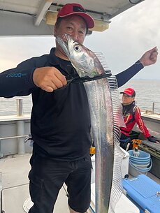 太刀魚